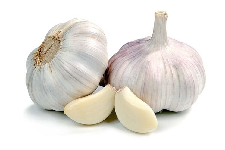 Garlic in Proctonic